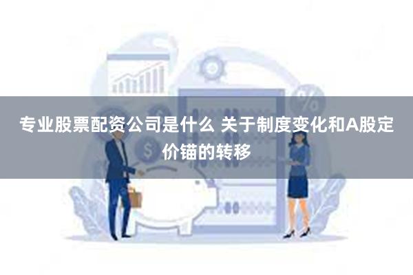 专业股票配资公司是什么 关于制度变化和A股定价锚的转移