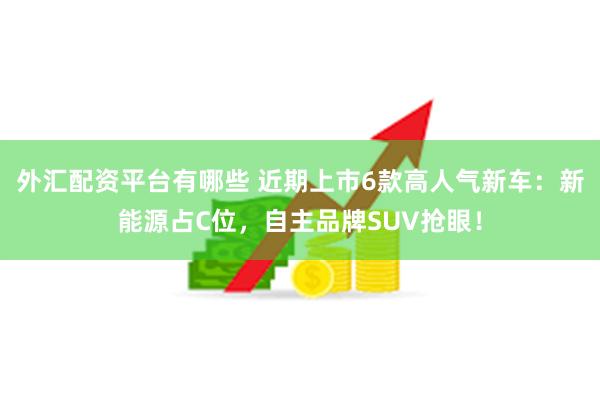 外汇配资平台有哪些 近期上市6款高人气新车：新能源占C位，自主品牌SUV抢眼！