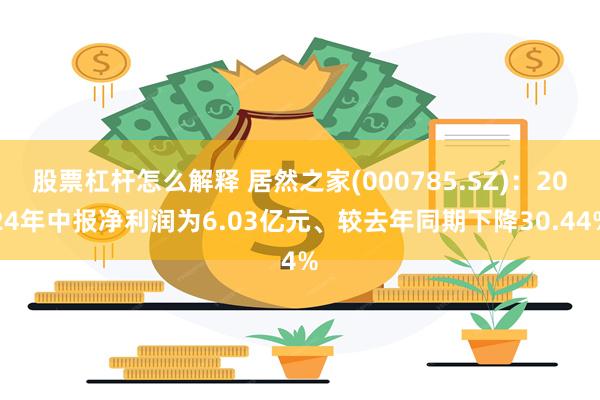 股票杠杆怎么解释 居然之家(000785.SZ)：2024年中报净利润为6.03亿元、较去年同期下降30.44%