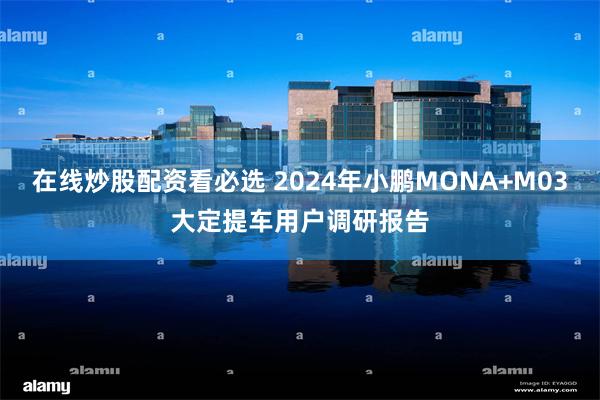 在线炒股配资看必选 2024年小鹏MONA+M03大定提车用户调研报告