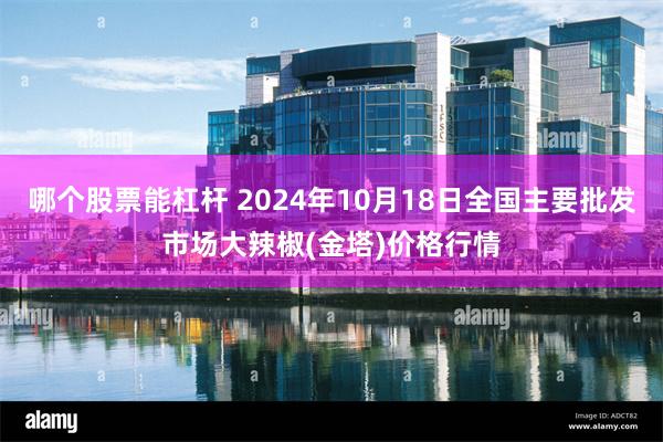 哪个股票能杠杆 2024年10月18日全国主要批发市场大辣椒(金塔)价格行情