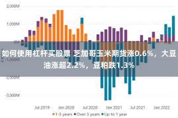 如何使用杠杆买股票 芝加哥玉米期货涨0.6%，大豆油涨超2.2%，豆粕跌1.3%