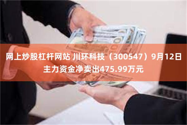 网上炒股杠杆网站 川环科技（300547）9月12日主力资金净卖出475.99万元