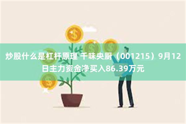 炒股什么是杠杆原理 千味央厨（001215）9月12日主力资金净买入86.39万元