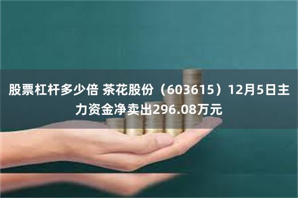 股票杠杆多少倍 茶花股份（603615）12月5日主力资金净卖出296.08万元