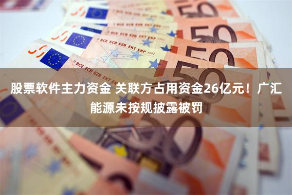 股票软件主力资金 关联方占用资金26亿元！广汇能源未按规披露被罚