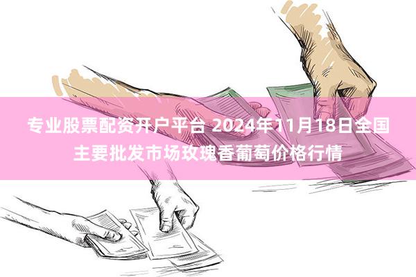 专业股票配资开户平台 2024年11月18日全国主要批发市场玫瑰香葡萄价格行情