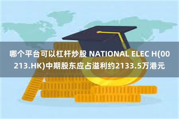 哪个平台可以杠杆炒股 NATIONAL ELEC H(00213.HK)中期股东应占溢利约2133.5万港元