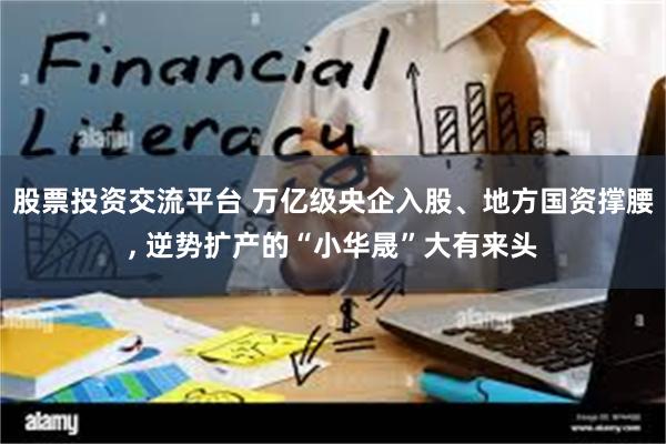 股票投资交流平台 万亿级央企入股、地方国资撑腰, 逆势扩产的“小华晟”大有来头