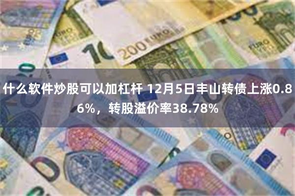 什么软件炒股可以加杠杆 12月5日丰山转债上涨0.86%，转股溢价率38.78%