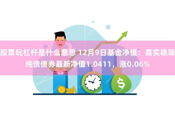 股票玩杠杆是什么意思 12月9日基金净值：嘉实稳瑞纯债债券最新净值1.0411，涨0.06%