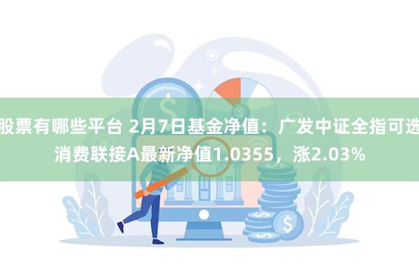 股票有哪些平台 2月7日基金净值：广发中证全指可选消费联接A最新净值1.0355，涨2.03%